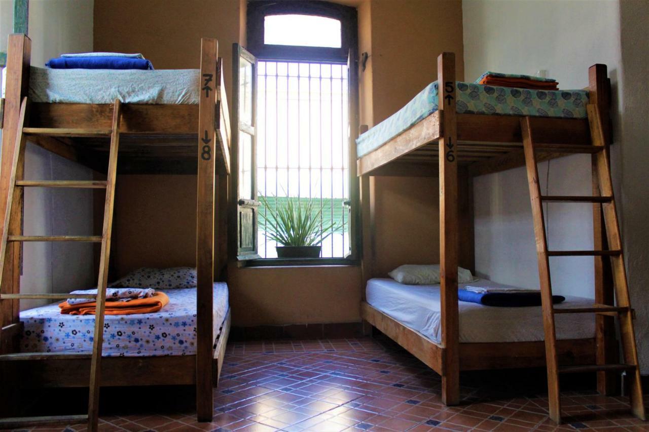 Hikuri Hostel San Luis Potosí Eksteriør billede